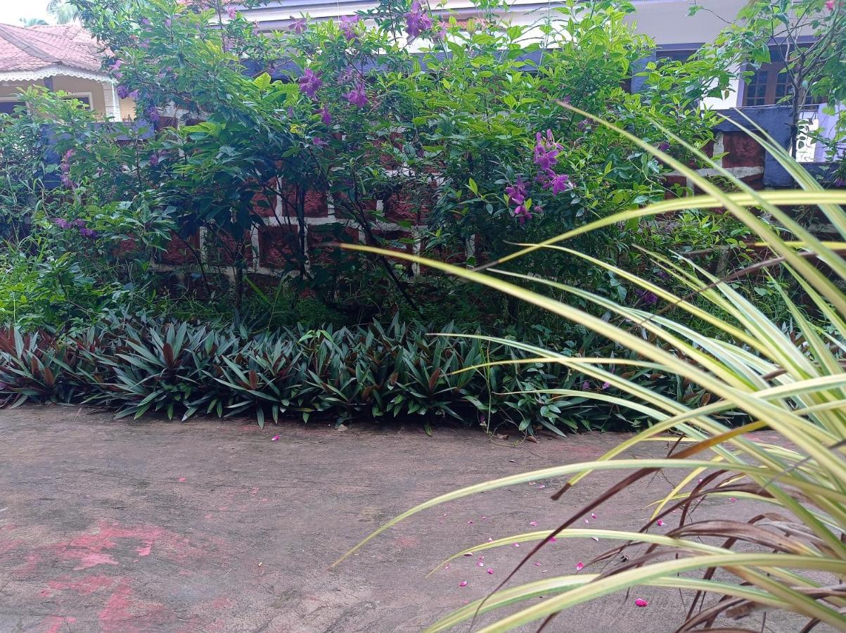 Lobo'S Guesthouse กาเวลอสซิม ภายนอก รูปภาพ
